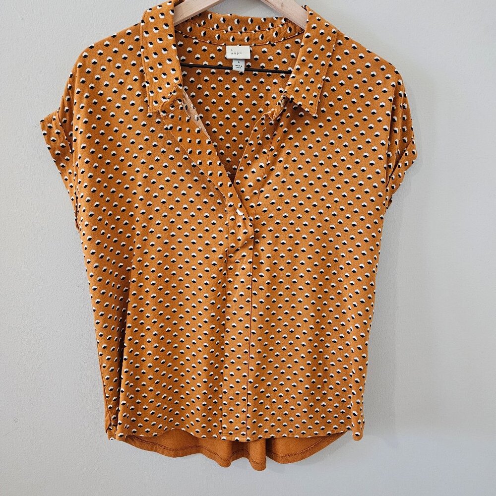 A New Day V-Neck Collared Blouse